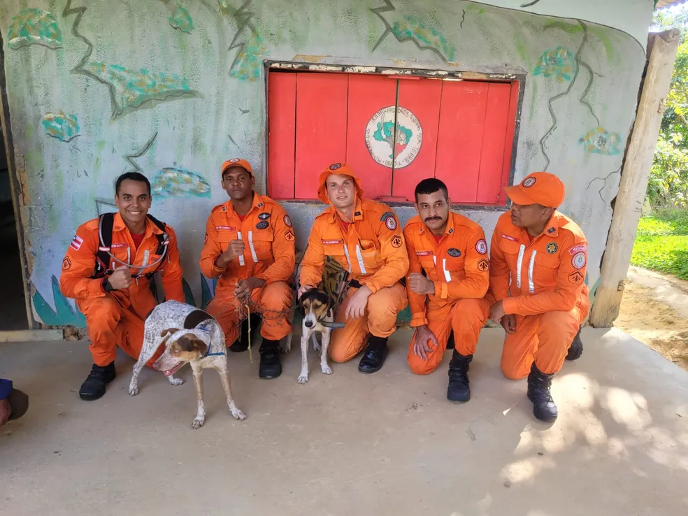 Resgate de cachorros perdidos por oito dias em morro de 350 metros mobiliza bombeiros e drone na Bahia