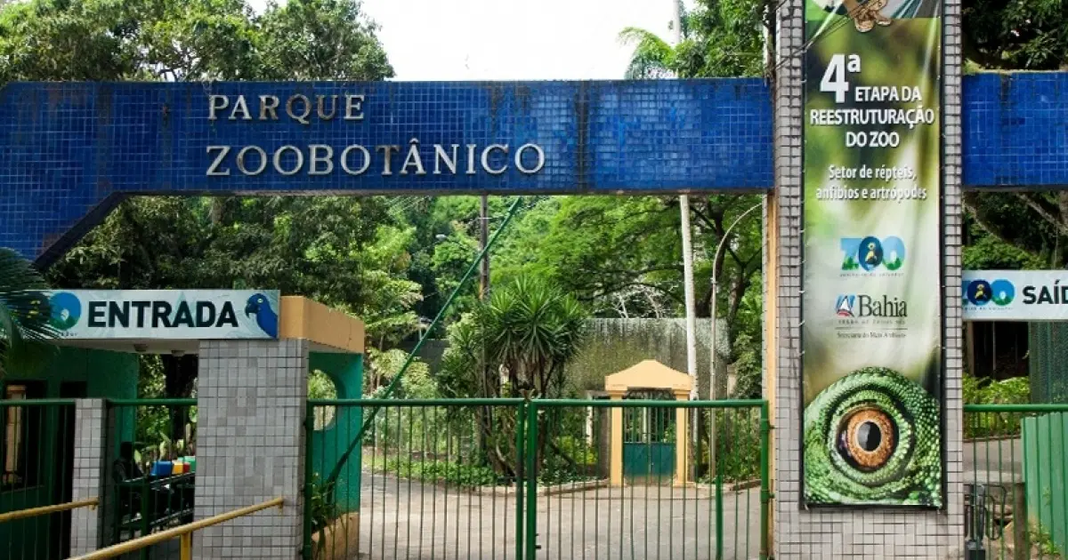 Governo do Estado desiste de concessão do Zoológico de Salvador: “Está fora de cogitação”