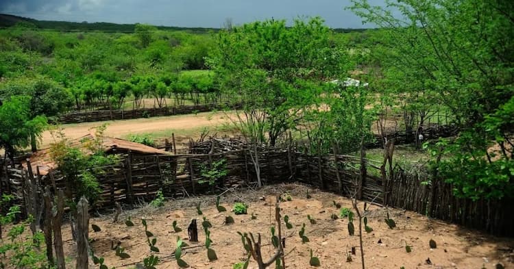 Bahia protagonizou mais de 171 conflitos no campo em 2024, aponta relatório da CPT