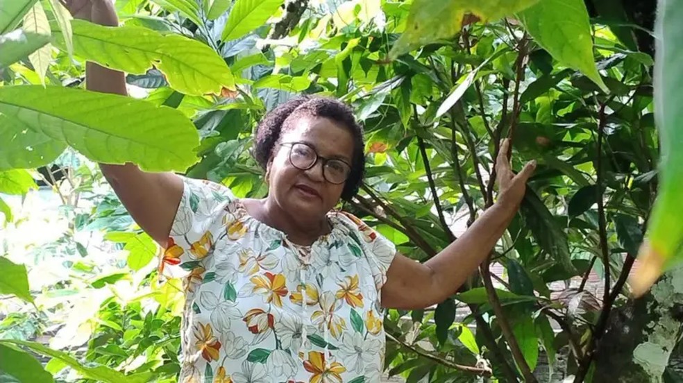 O preço do cacau bateu recorde e deixou produtores da Bahia eufóricos — mas aí veio o ‘banho de água fria’