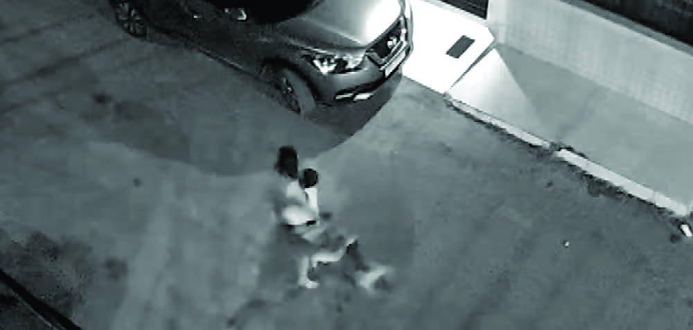  Criança com autismo fica ferida após ser atacada por cachorro da raça pitbull na Bahia