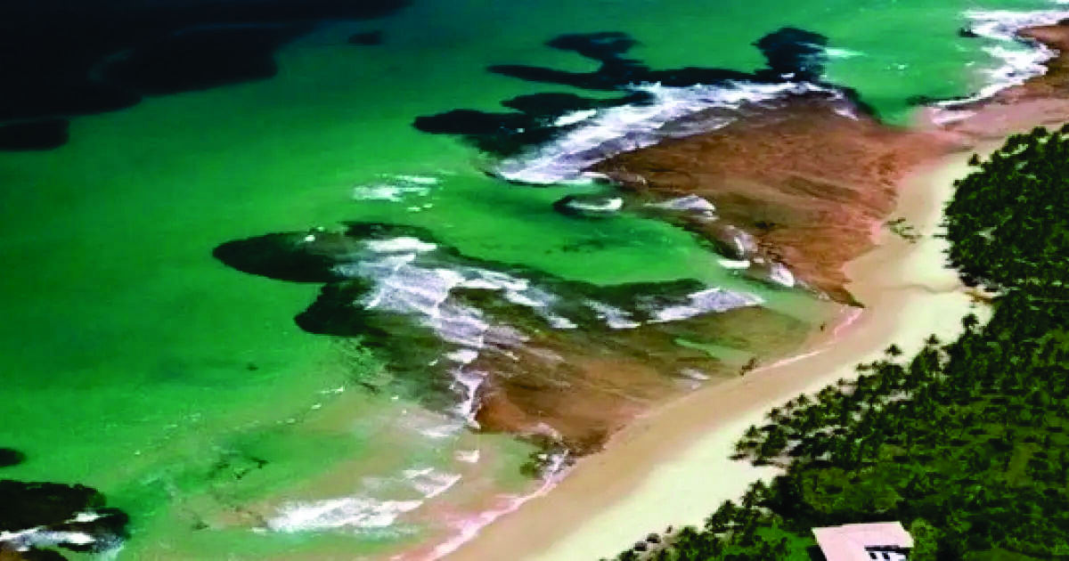 Taipu de Fora e Praia de Itapororoca, na Bahia, estão entre as 100 praias mais icônicas do mundo