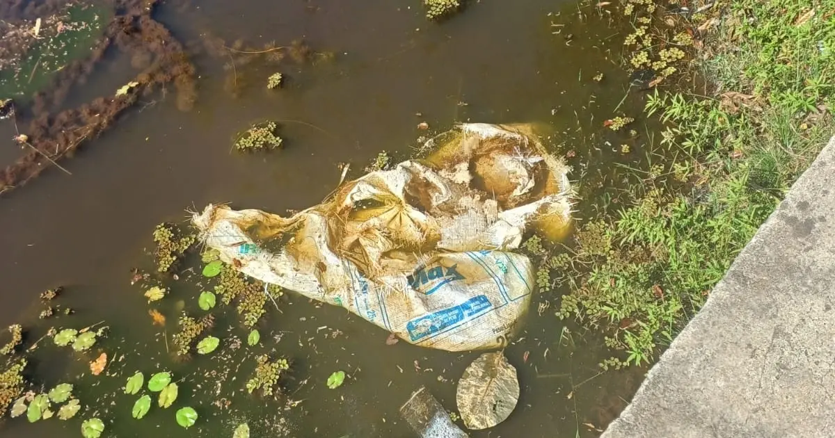 Cinco meses após denúncias, Lagoa Timeantube segue em deterioração e moradores relatam agravamento na Praia do Forte