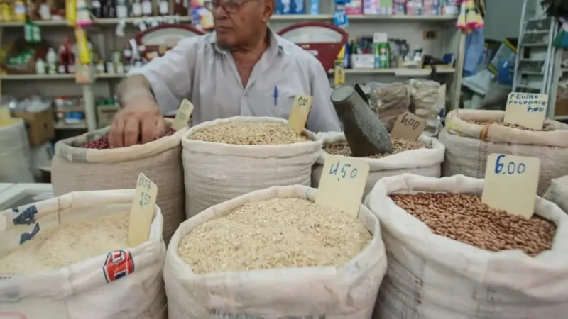 Safra, sabor e sanfona: mudanças climáticas acendem alerta para a segurança alimentar na Bahia