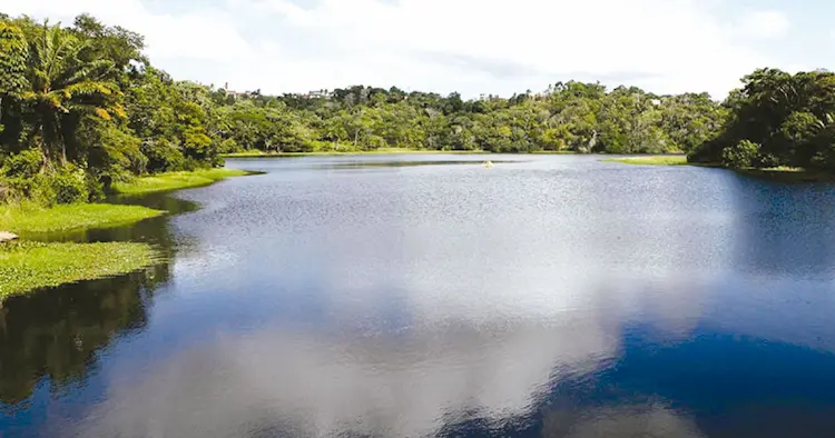 MPF busca reparação por danos ambientais de condomínio em área protegida do Rio Joanes, em Lauro de Freitas